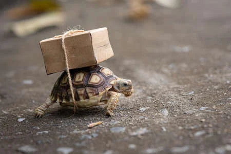 Sea Shipping Delays 13/04/2023